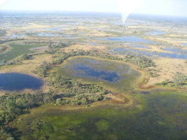 Sổ tay du lịch so tay du lich Sotaydulich Sotay Dulich Khampha Kham Pha Bui Đồng bằng sông Okavango