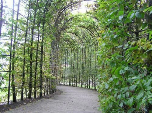 Sổ tay du lịch so tay du lich Sotaydulich Sotay Dulich Khampha Kham Pha Bui Alnvika khu vườn độc dược ở Anh 