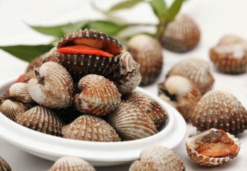Sổ tay du lịch so tay du lich Sotaydulich Sotay Dulich Khampha Kham Pha Bui Kinh nghiệm du lịch bụi Phú Yên