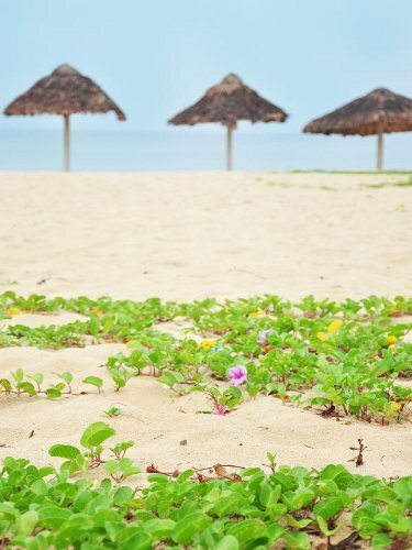 Sổ tay du lịch so tay du lich Sotaydulich Sotay Dulich Khampha Kham Pha Bui Kinh nghiệm du lịch bụi Quảng Bình