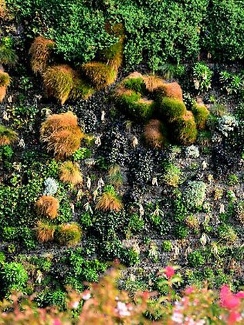 Sổ tay du lịch so tay du lich Sotaydulich Sotay Dulich Khampha Kham Pha Bui Khu vườn đứng lớn nhất thế giới