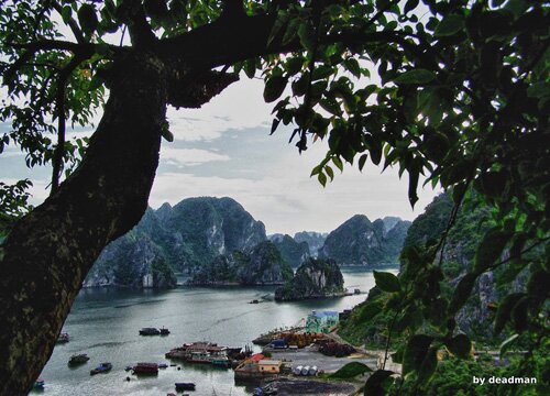Sổ tay du lịch so tay du lich Sotaydulich Sotay Dulich Khampha Kham Pha Bui Kinh nghiệm du lịch bụi Quảng Ninh