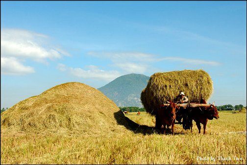 Sổ tay du lịch so tay du lich Sotaydulich Sotay Dulich Khampha Kham Pha Bui Kinh nghiệm du lịch bụi Tây Ninh