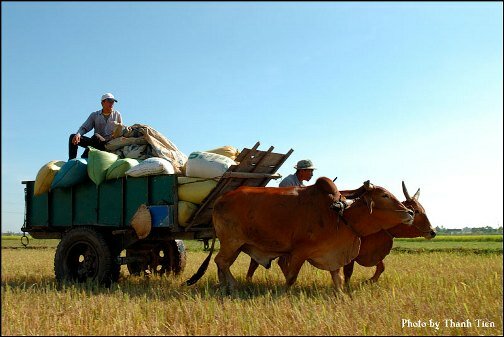 Sổ tay du lịch so tay du lich Sotaydulich Sotay Dulich Khampha Kham Pha Bui Kinh nghiệm du lịch bụi Tây Ninh