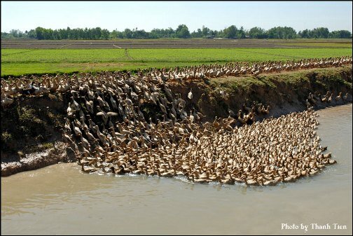 Sổ tay du lịch so tay du lich Sotaydulich Sotay Dulich Khampha Kham Pha Bui Kinh nghiệm du lịch bụi Tây Ninh