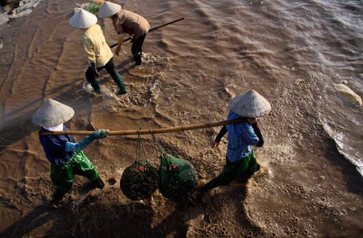 Sổ tay du lịch so tay du lich Sotaydulich Sotay Dulich Khampha Kham Pha Bui Kinh nghiệm du lịch bụi Thái Bình