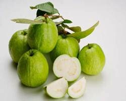 Sổ tay du lịch so tay du lich Sotaydulich Sotay Dulich Khampha Kham Pha Bui Kinh nghiệm du lịch bụi Thái Bình