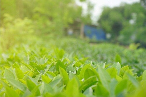 Sổ tay du lịch so tay du lich Sotaydulich Sotay Dulich Khampha Kham Pha Bui Kinh nghiệm du lịch bụi Thái Nguyên 