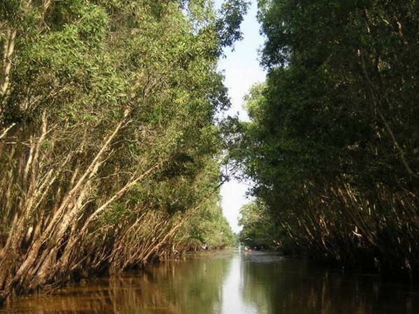 Sổ tay du lịch so tay du lich Sotaydulich Sotay Dulich Khampha Kham Pha Bui Khám phá Vườn Quốc gia Tràm Chim