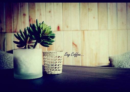 Sổ tay du lịch so tay du lich Sotaydulich Sotay Dulich Khampha Kham Pha Bui Say Cafe