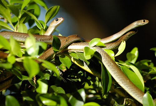 Sổ tay du lịch so tay du lich Sotaydulich Sotay Dulich Khampha Kham Pha Bui Kinh nghiệm du lịch bụi Tiền Giang
