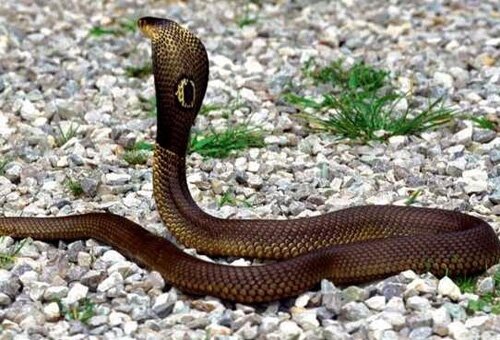 Sổ tay du lịch so tay du lich Sotaydulich Sotay Dulich Khampha Kham Pha Bui Kinh nghiệm du lịch bụi Tiền Giang