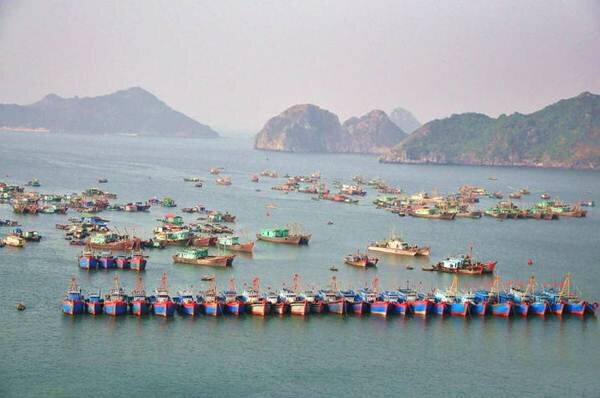 Sổ tay du lịch so tay du lich Sotaydulich Sotay Dulich Khampha Kham Pha Bui Bình yên Cát Bà