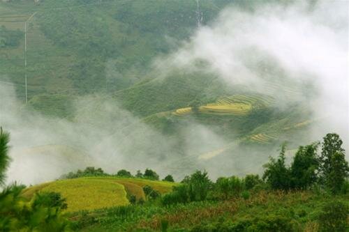 Sổ tay du lịch so tay du lich Sotaydulich Sotay Dulich Khampha Kham Pha Bui Mây trắng Hà Giang