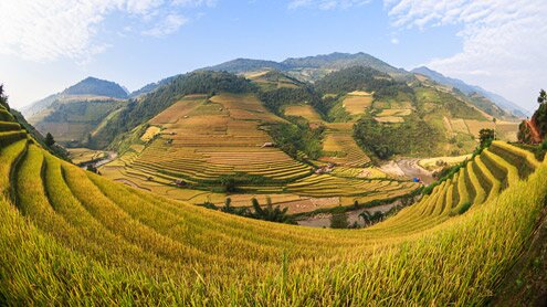 Sổ tay du lịch so tay du lich Sotaydulich Sotay Dulich Khampha Kham Pha Bui Mùa lúa chín vàng ở Mù Cang Chải