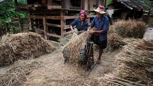 Sổ tay du lịch so tay du lich Sotaydulich Sotay Dulich Khampha Kham Pha Bui Mùa lúa chín vàng ở Mù Cang Chải