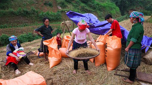 Sổ tay du lịch so tay du lich Sotaydulich Sotay Dulich Khampha Kham Pha Bui Mùa lúa chín vàng ở Mù Cang Chải