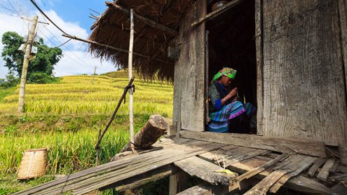 Sổ tay du lịch so tay du lich Sotaydulich Sotay Dulich Khampha Kham Pha Bui Mùa lúa chín vàng ở Mù Cang Chải