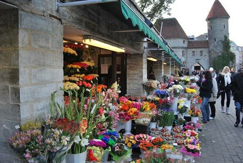 Sổ tay du lịch so tay du lich Sotaydulich Sotay Dulich Khampha Kham Pha Bui Phố cổ Tallinn ở Estonia