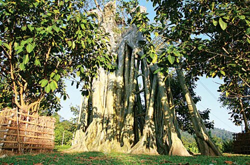 Sổ tay du lịch so tay du lich Sotaydulich Sotay Dulich Khampha Kham Pha Bui Kinh nghiệm du lịch bụi Tuyên Quang