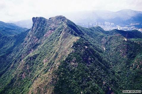 Sổ tay du lịch so tay du lich Sotaydulich Sotay Dulich Khampha Kham Pha Bui 10 khu bảo tồn thiên nhiên của Hong Kong