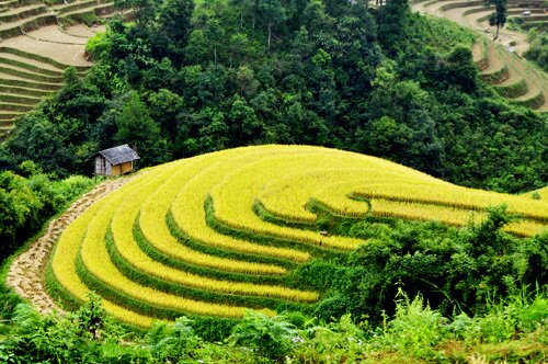 Sổ tay du lịch so tay du lich Sotaydulich Sotay Dulich Khampha Kham Pha Bui Kinh nghiệm du lịch bụi Yên Bái 