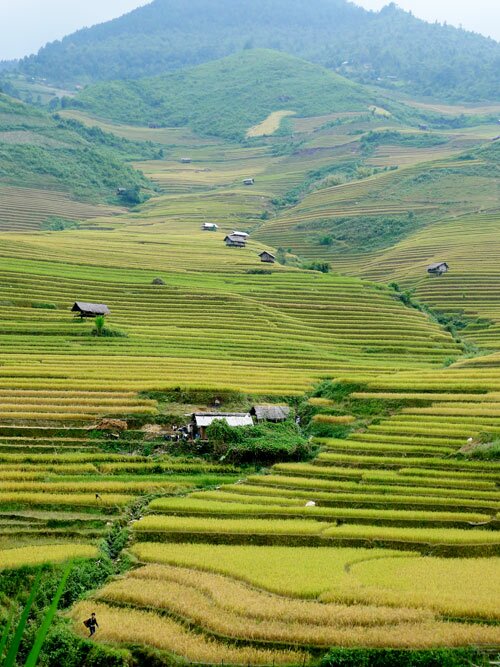Sổ tay du lịch so tay du lich Sotaydulich Sotay Dulich Khampha Kham Pha Bui Kinh nghiệm du lịch bụi Yên Bái 