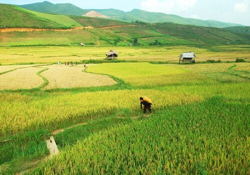 Sổ tay du lịch so tay du lich Sotaydulich Sotay Dulich Khampha Kham Pha Bui Kinh nghiệm du lịch bụi Yên Bái 