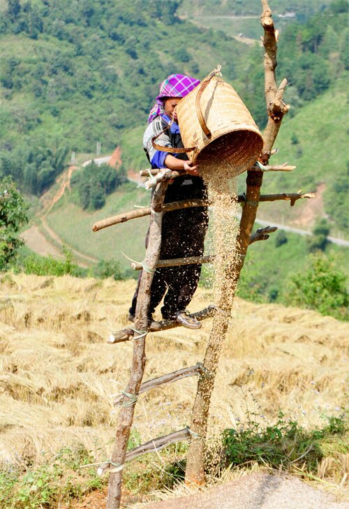 Sổ tay du lịch so tay du lich Sotaydulich Sotay Dulich Khampha Kham Pha Bui Kinh nghiệm du lịch bụi Yên Bái 