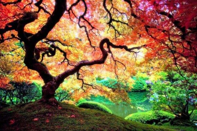 Sổ tay du lịch so tay du lich Sotaydulich Sotay Dulich Khampha Kham Pha Bui Ảnh đẹp trong tuần Khám phá thu quyến rũ