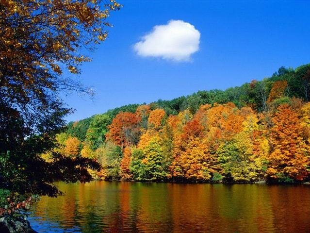 Sổ tay du lịch so tay du lich Sotaydulich Sotay Dulich Khampha Kham Pha Bui Ảnh đẹp trong tuần Khám phá thu quyến rũ