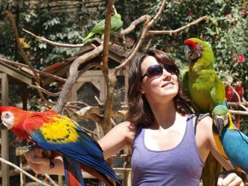 Sổ tay du lịch so tay du lich Sotaydulich Sotay Dulich Khampha Kham Pha Bui Đến Copan khám phá nền văn minh Maya cổ đại