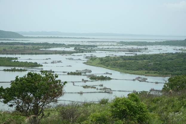 Sổ tay du lịch so tay du lich Sotaydulich Sotay Dulich Khampha Kham Pha Bui Khu bảo tồn thiên nhiên Vịnh Kosi ở Kwazulu Natal