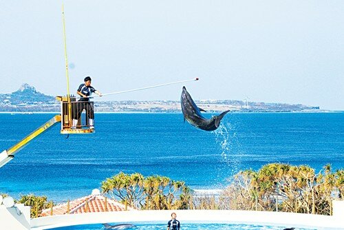 Sổ tay du lịch so tay du lich Sotaydulich Sotay Dulich Khampha Kham Pha Bui Okinawa Hòn đảo mở cửa với thế giới