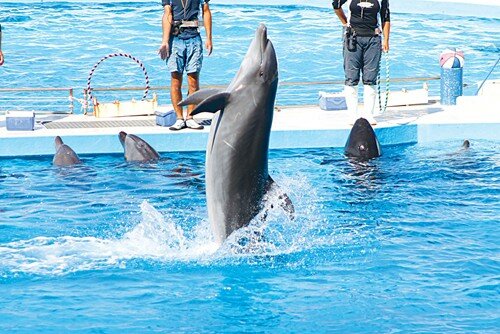 Sổ tay du lịch so tay du lich Sotaydulich Sotay Dulich Khampha Kham Pha Bui Okinawa Hòn đảo mở cửa với thế giới