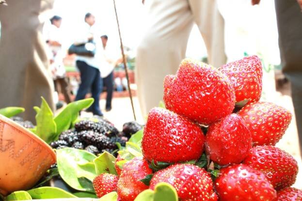 Sổ tay du lịch so tay du lich Sotaydulich Sotay Dulich Khampha Kham Pha Bui Mahabaleshwar phong cảnh thiên nhiên tuyệt đẹp