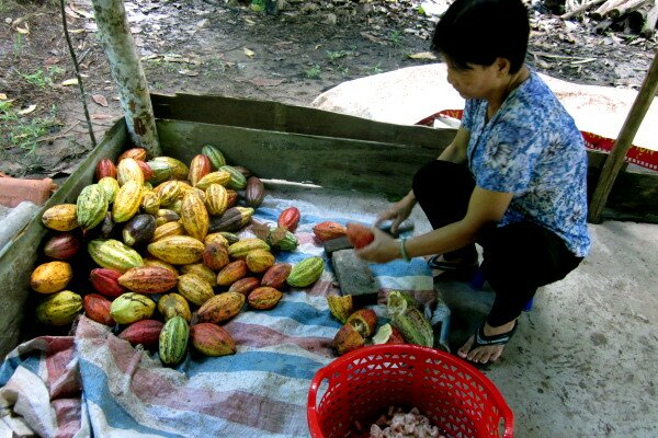 Sổ tay du lịch so tay du lich Sotaydulich Sotay Dulich Khampha Kham Pha Bui Du lịch miệt vườn ở huyện Phong Điền