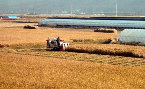 Sổ tay du lịch so tay du lich Sotaydulich Sotay Dulich Khampha Kham Pha Bui Khám phá Hàn Quốc bằng xe buýt