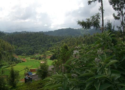 Sổ tay du lịch so tay du lich Sotaydulich Sotay Dulich Khampha Kham Pha Bui Ooty Ngôi nhà trên núi