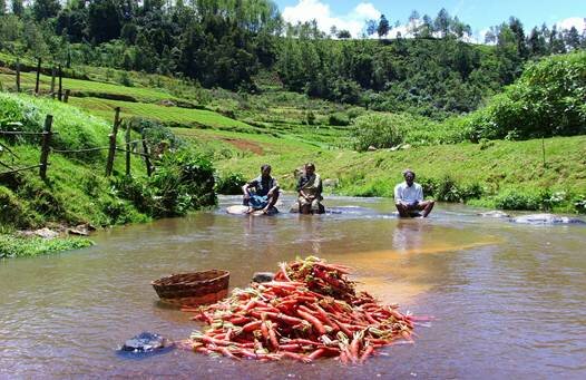 Sổ tay du lịch so tay du lich Sotaydulich Sotay Dulich Khampha Kham Pha Bui Ooty Ngôi nhà trên núi