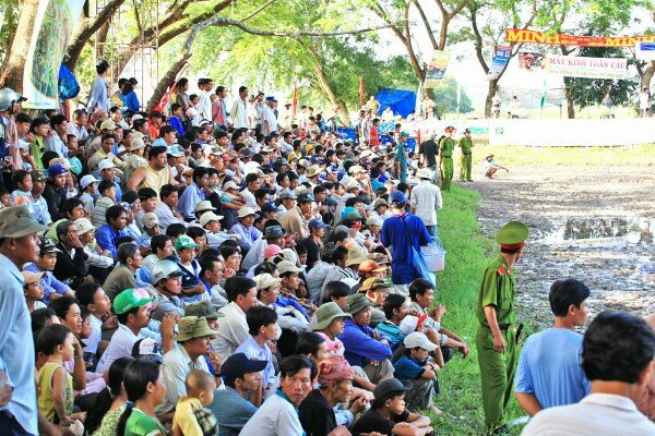 Sổ tay du lịch so tay du lich Sotaydulich Sotay Dulich Khampha Kham Pha Bui Hội đua bò ở An Giang