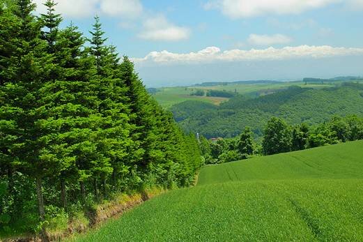 Sổ tay du lịch so tay du lich Sotaydulich Sotay Dulich Khampha Kham Pha Bui Bí ẩn Hokkaido 