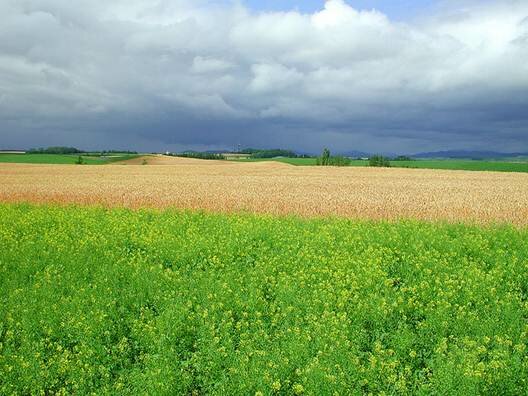 Sổ tay du lịch so tay du lich Sotaydulich Sotay Dulich Khampha Kham Pha Bui Bí ẩn Hokkaido 