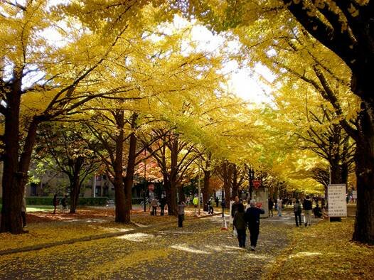 Sổ tay du lịch so tay du lich Sotaydulich Sotay Dulich Khampha Kham Pha Bui Bí ẩn Hokkaido 