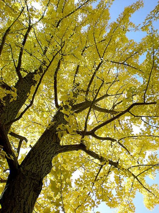 Sổ tay du lịch so tay du lich Sotaydulich Sotay Dulich Khampha Kham Pha Bui Bí ẩn Hokkaido 