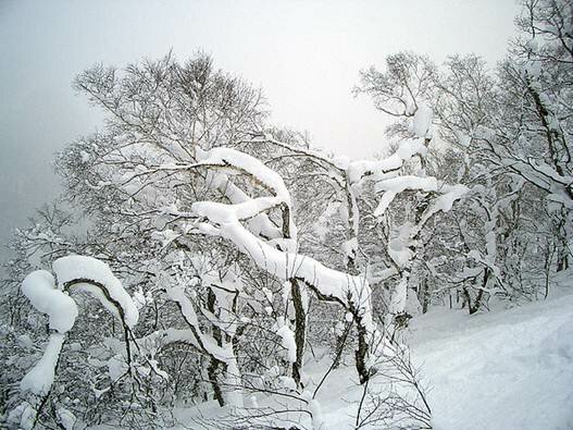 Sổ tay du lịch so tay du lich Sotaydulich Sotay Dulich Khampha Kham Pha Bui Bí ẩn Hokkaido 