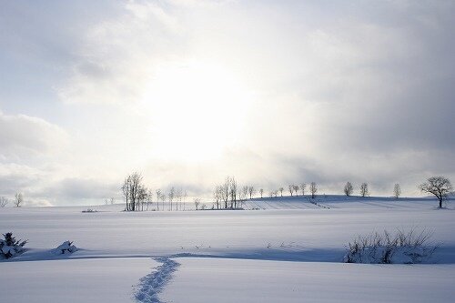 Sổ tay du lịch so tay du lich Sotaydulich Sotay Dulich Khampha Kham Pha Bui Bí ẩn Hokkaido 