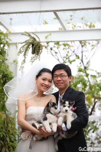 Sổ tay du lịch so tay du lich Sotaydulich Sotay Dulich Khampha Kham Pha Bui 11 quán cà phê chụp ảnh cưới tuyệt đẹp ở Hà Nội