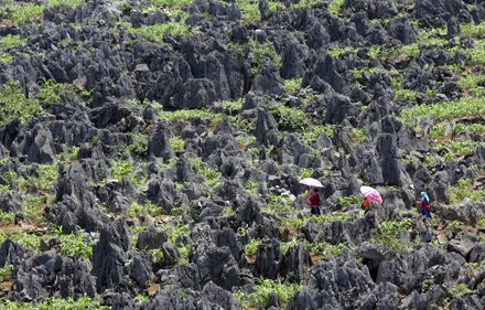 Sổ tay du lịch so tay du lich Sotaydulich Sotay Dulich Khampha Kham Pha Bui Những hình ảnh tuyệt đẹp trong các chuyến hành trình du lịch