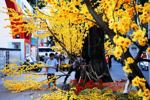 Sổ tay du lịch so tay du lich Sotaydulich Sotay Dulich Khampha Kham Pha Bui Sài Gòn trang hoàng đón Tết Quý Tỵ